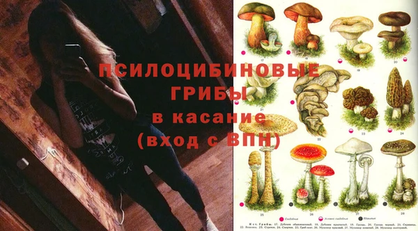 винт Заводоуковск