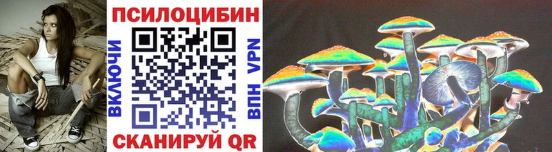Купить где  Дрезна  Галлюциногенные грибы Psilocybine cubensis 